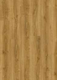 Silky Oak 24235