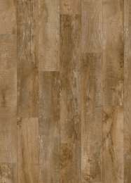 Country Oak 24842